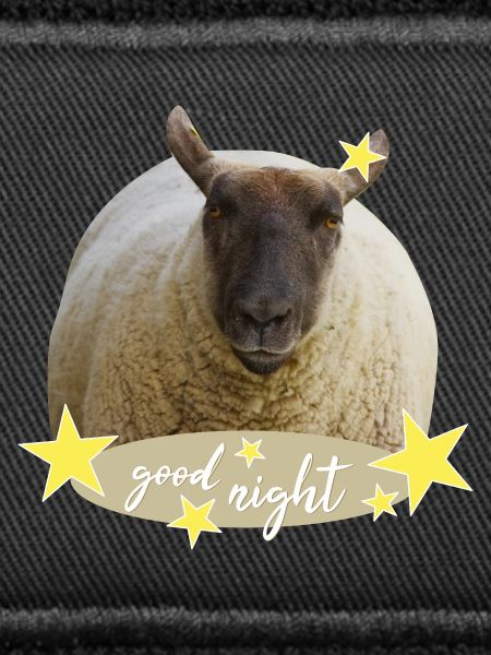 sheep good night