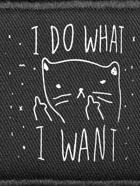 Whimsical Cat Motivational Illustration