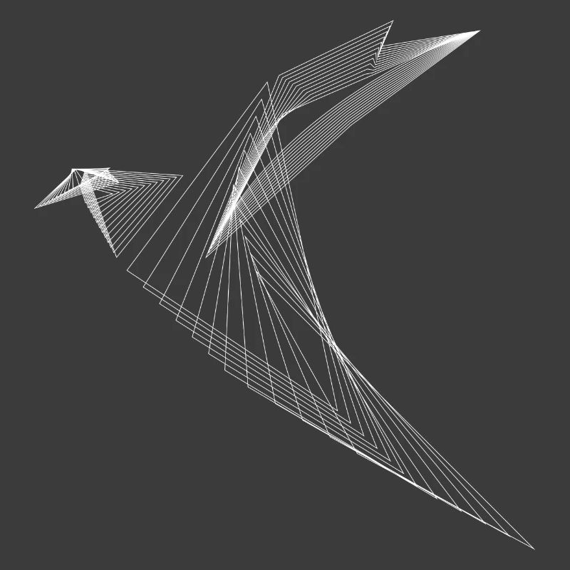 Lignes géométriques Oiseaux Minimal Design