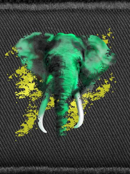 éléphant