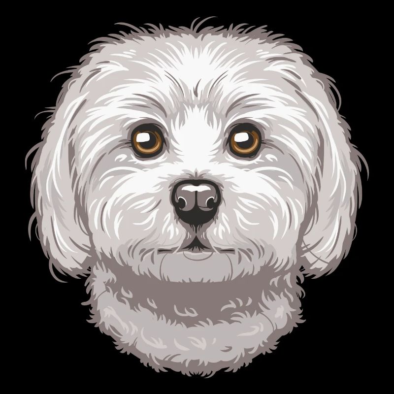 Maltese