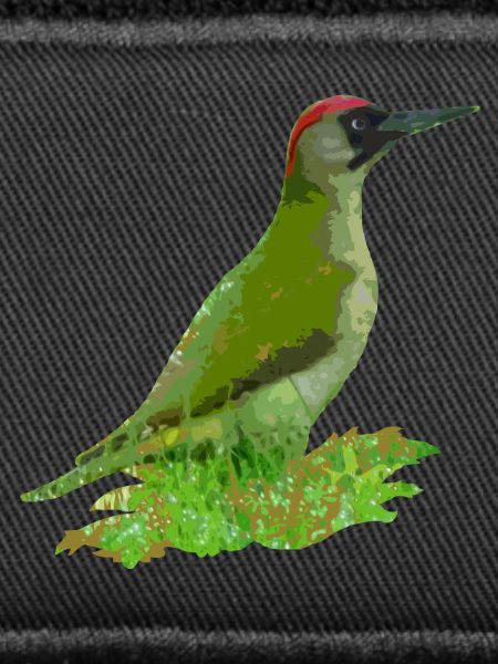 pivert