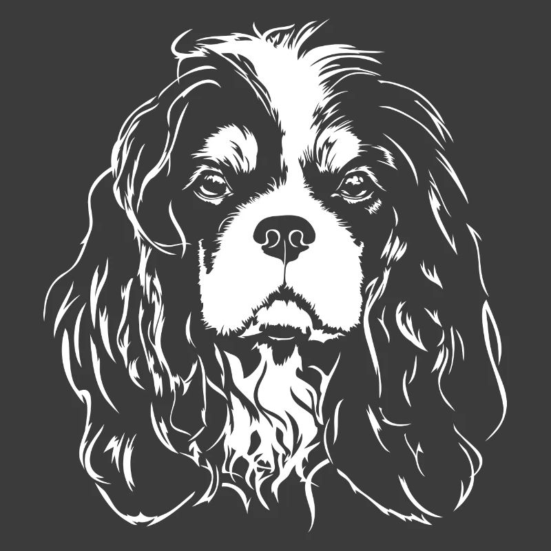 CAVALIER KING CHARLES SPANIEL Chiens Chiens Wilsigns