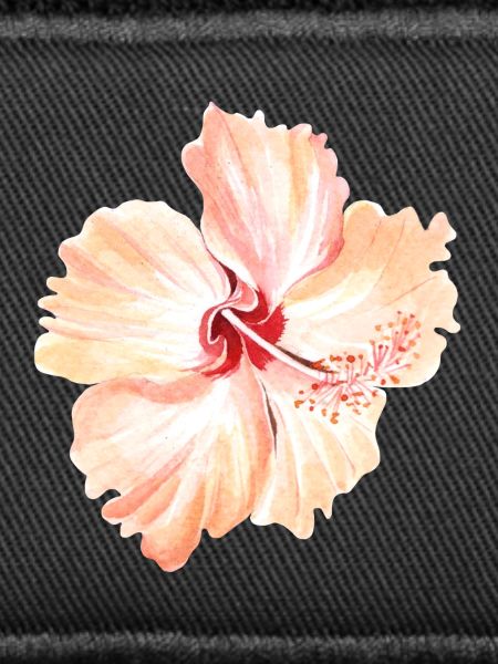 Blume