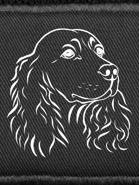Spaniel portrait