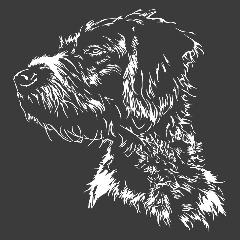 DEUTSCH DRAHTHAAR Wilsigns Jagdhund Jagdhunde