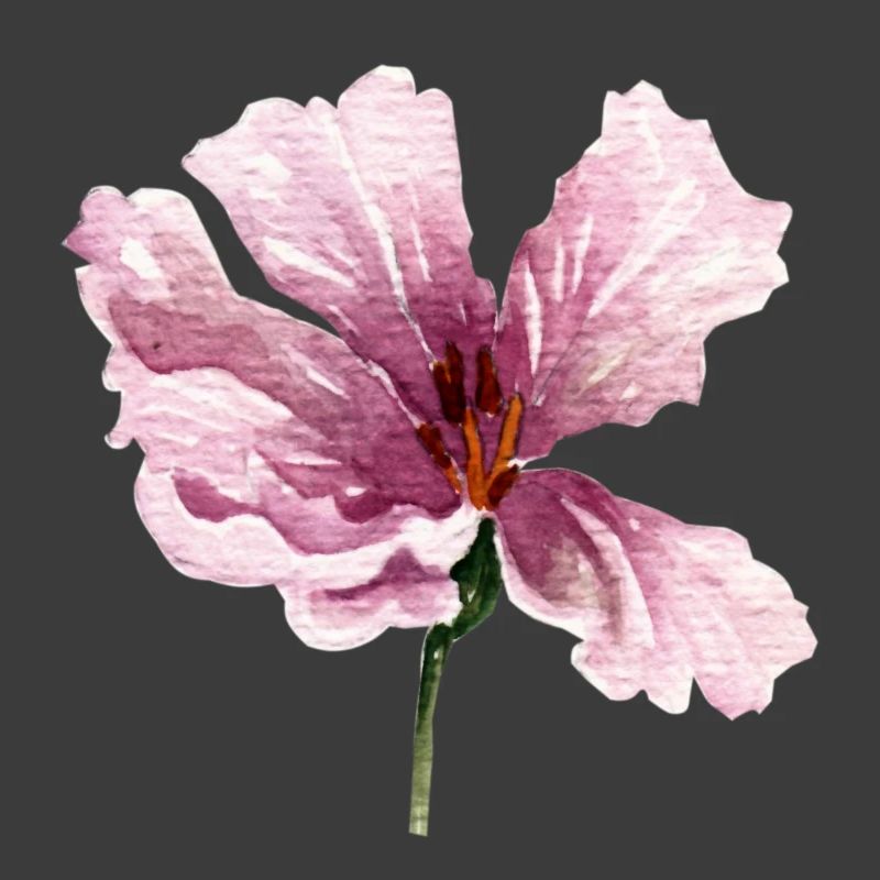 blume