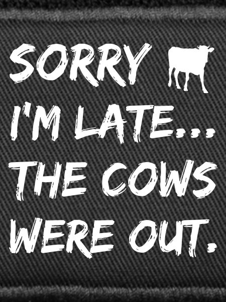 Vaches