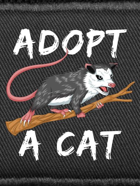 adopt a cat
