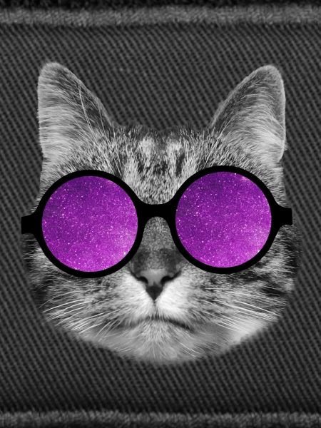 Space kitty