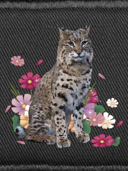 Luchs