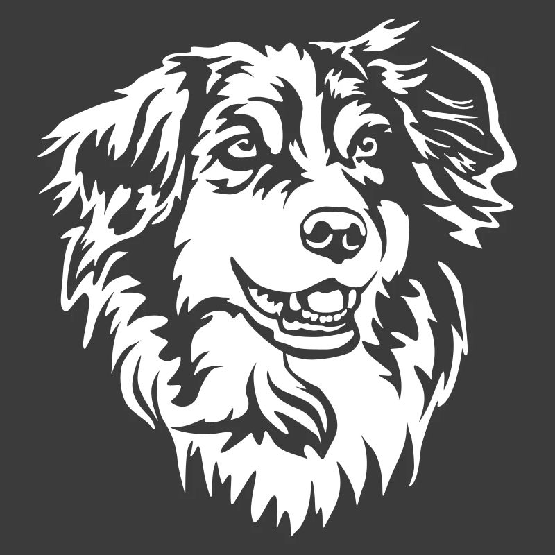 Australian Shepherd Kopf "Black Edition"