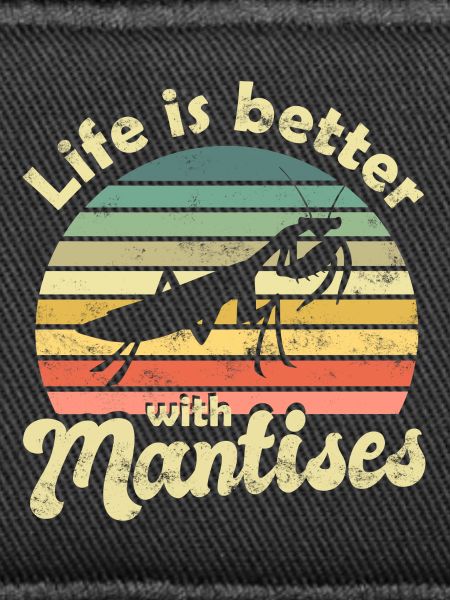 Praying mantis Mantis