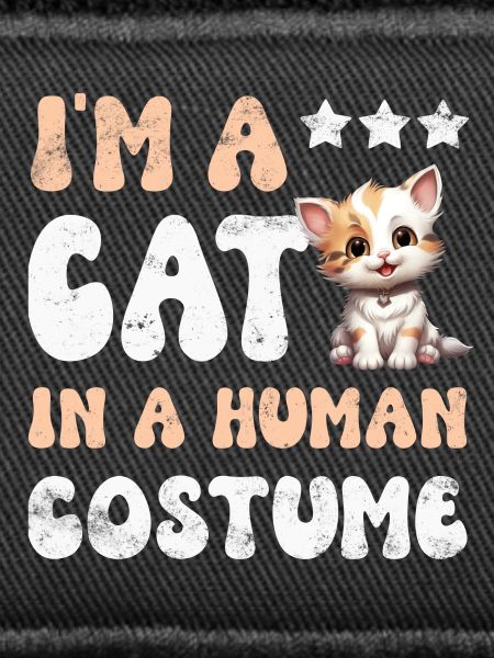 Katze Katzen