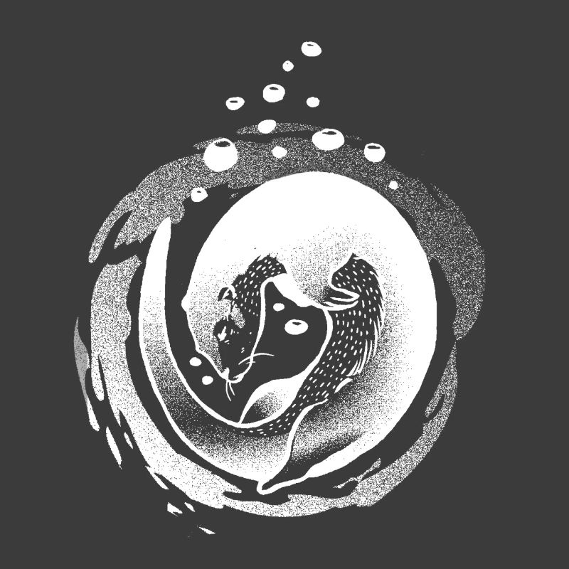 Inversion de sort de loutre