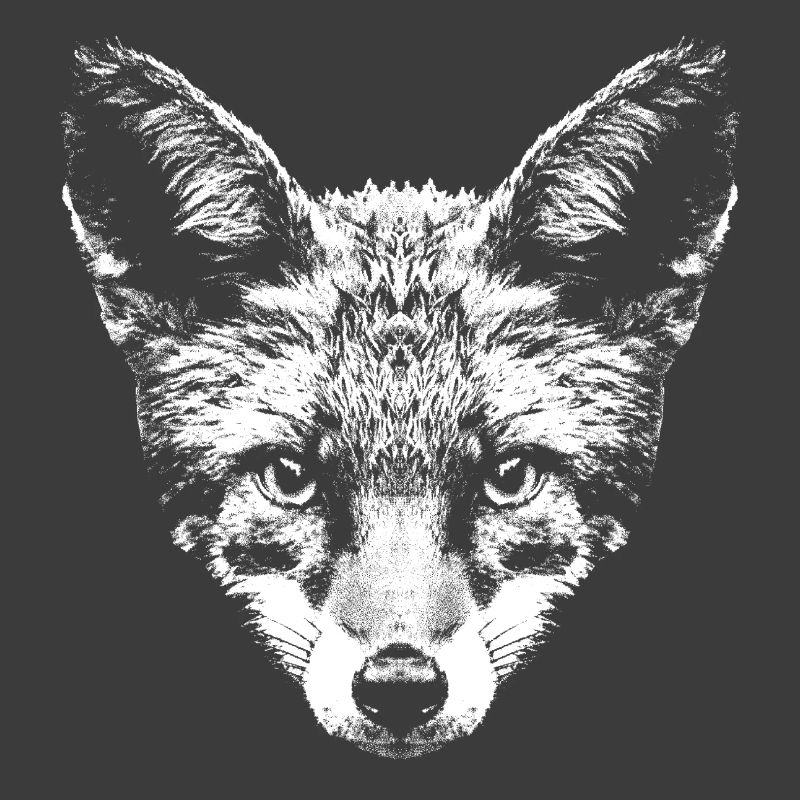 Fuchs / Fox / Kopf / Rotfuchs