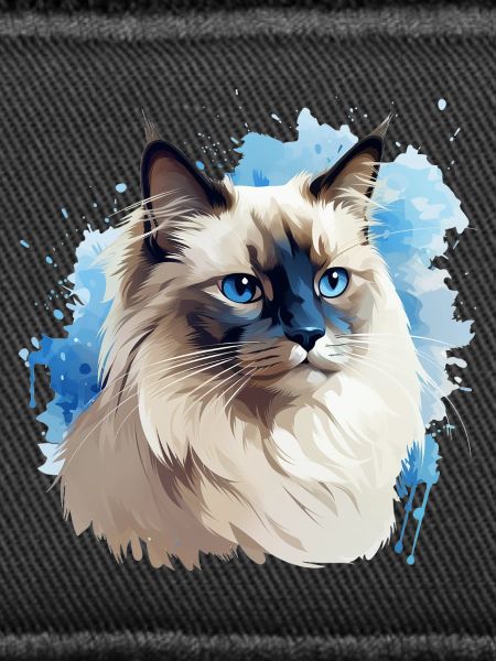Cat Head Sacred Birman