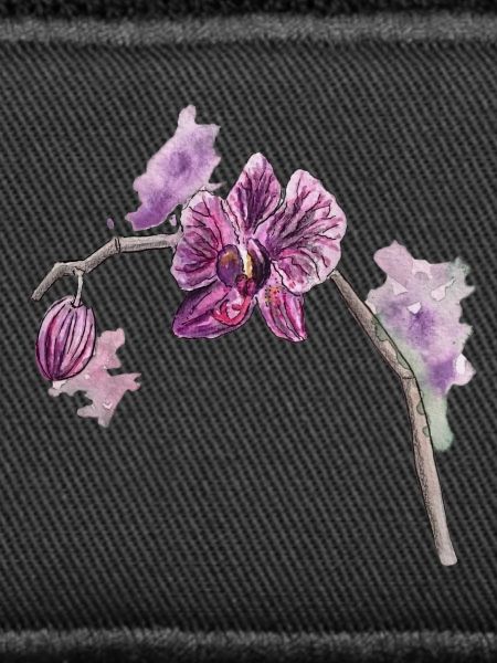 Orchidee - Pflanze - Blume