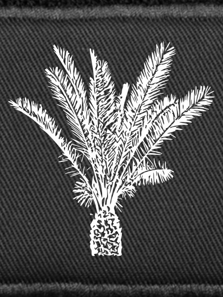 Palm Tree White