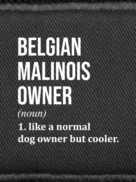 Belgian Malinois Belgian Malinois Belgian Malinois