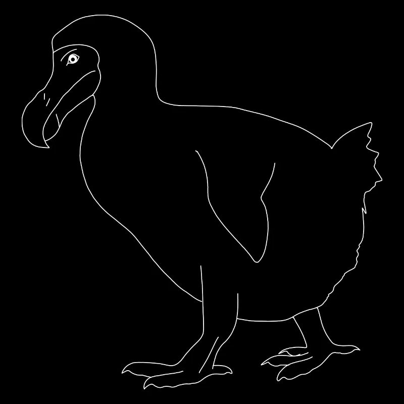 Dodo