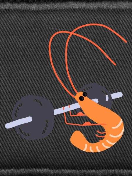 Bodybuilding sallle shrimp