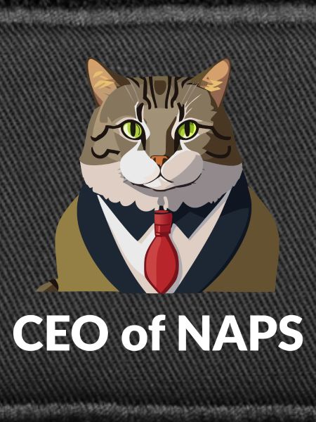 Businessman cat with tie