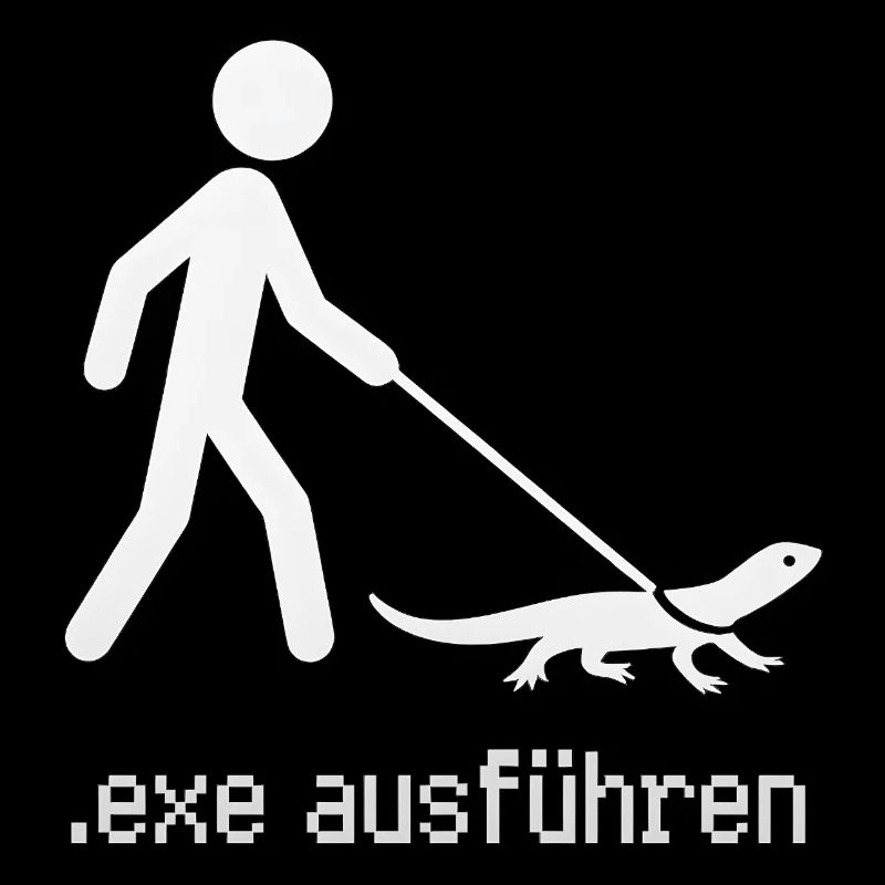 EXE ausführen Admin Informatiker Programmierer