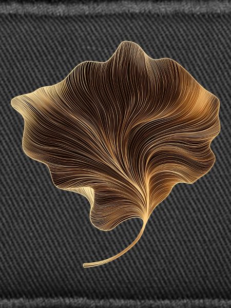 Elegant leaf