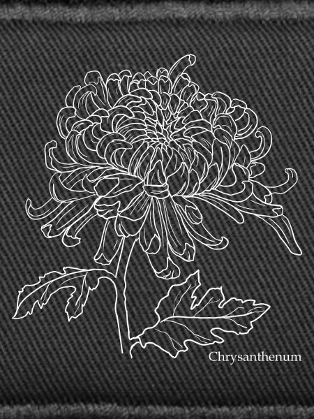 Chrysanthemum Line Drawing