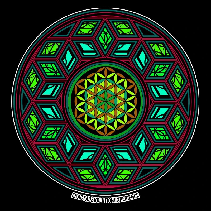 Fractal Evolution Kaleidoskop Mandala Muster Yoga