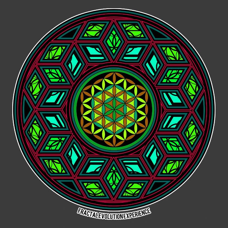 Fractal Evolution Kaleidoscope Mandala Pattern Yoga