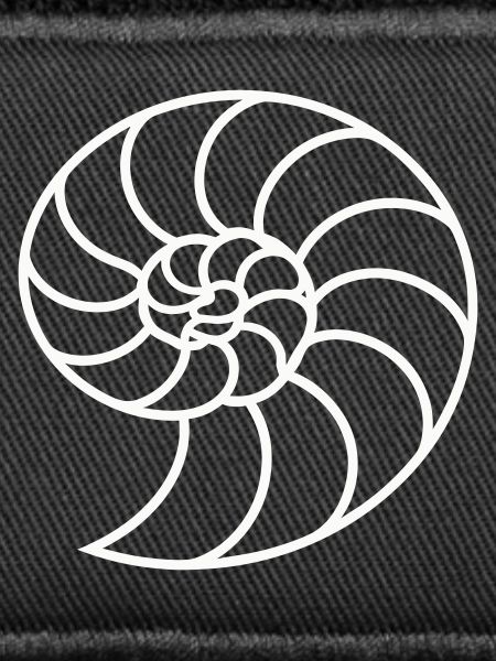 White Nautilus Spiral
