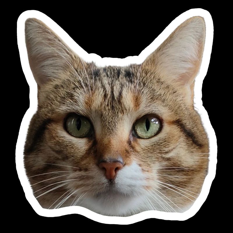 Sticker Missty