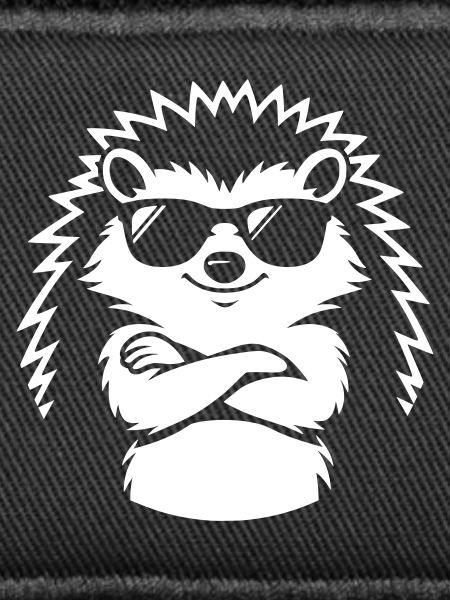 Cool hedgehog with sunglasses