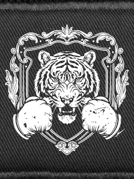 Tiger Boxing MMA