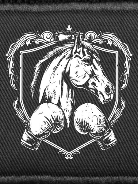 Boxe hippique MMA