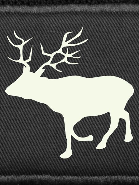 Deer Roe Deer