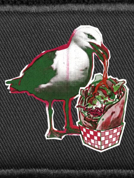 Kebab Seagull