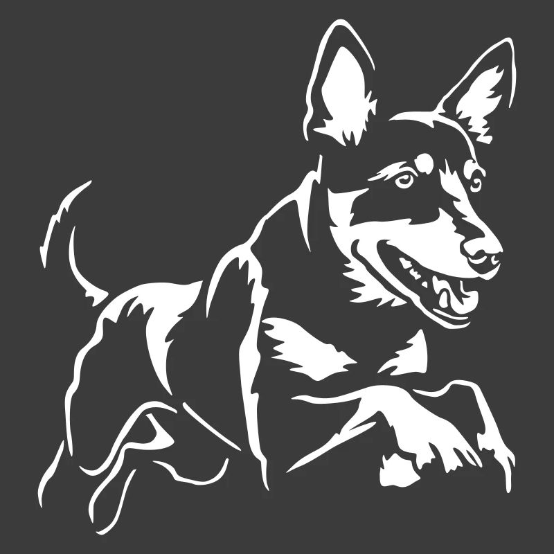 Australian Kelpie "Black Edition"