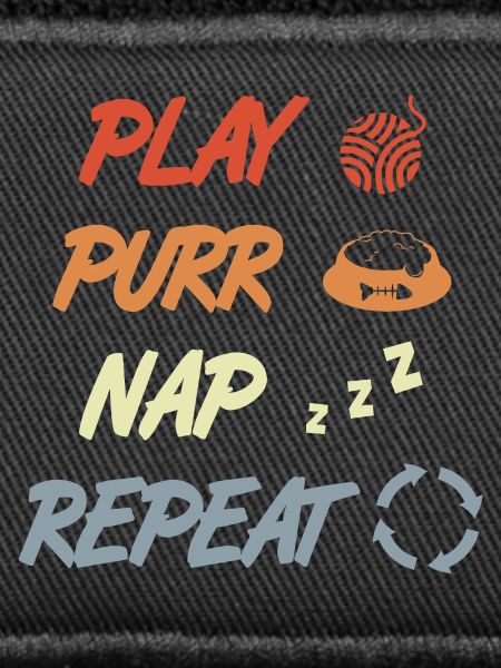 Play Purr Sleep Repeat