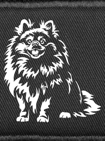 Pomeranian "Black Edition"