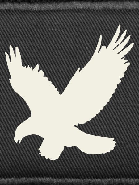Eagle silhouette in flight