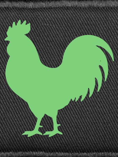 Coq