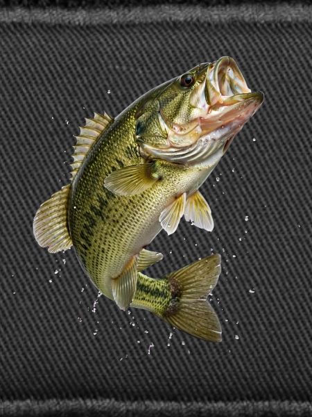 Bass in dynamic jump