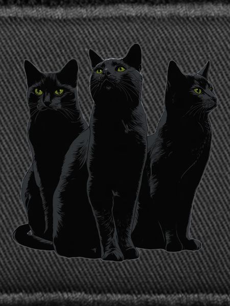 Katzen Halloween