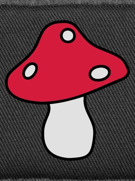 fly agaric