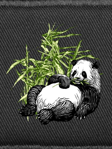 Panda_TS