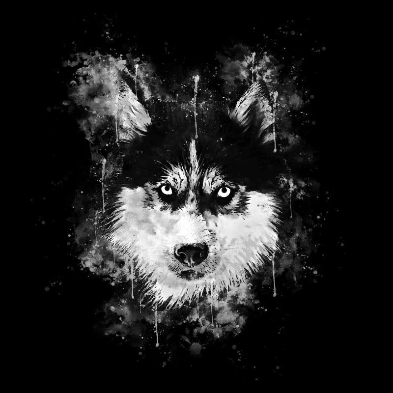 gxp chien husky visage éclaboussures de couleur de l'eau