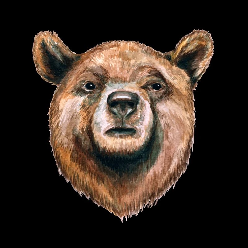 Bär